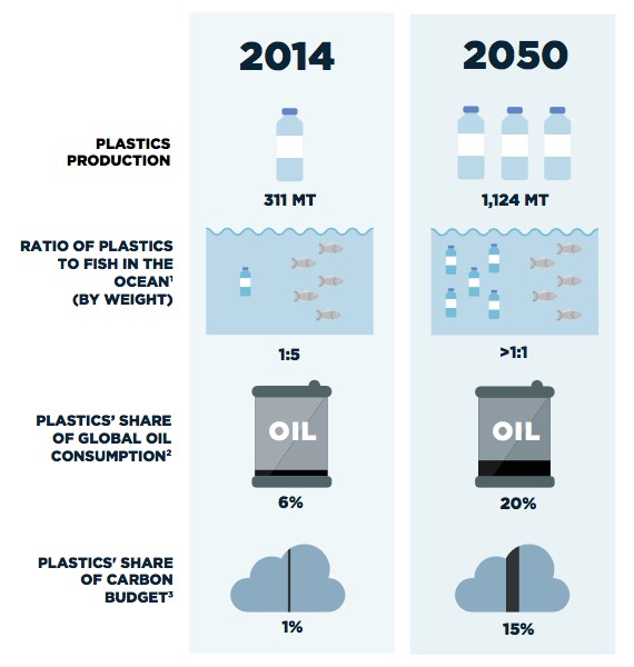 FORECAST GROWTH