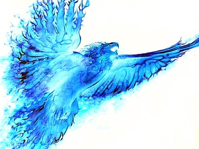 Phoenix2 copy