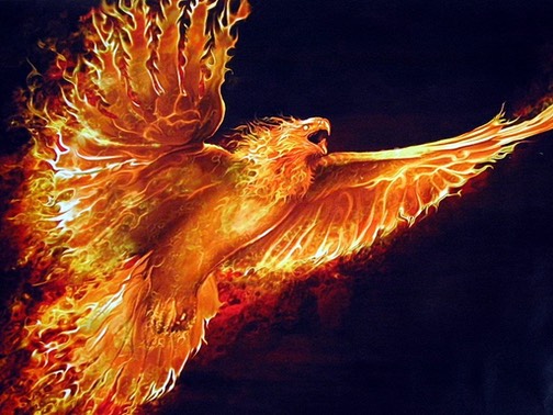 Phoenix