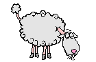 sheep