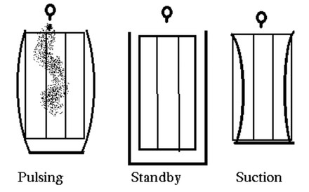 TD SCRIM-01